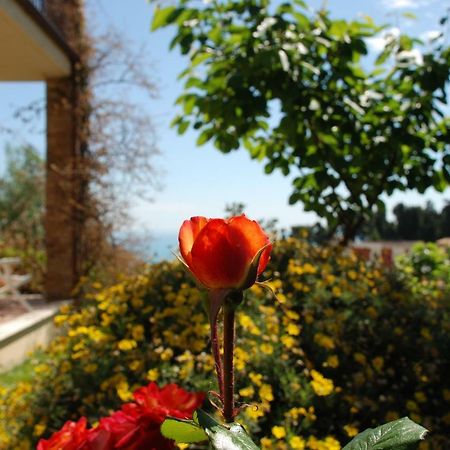 Tortoreto Bed & Breakfast Latteletto מראה חיצוני תמונה